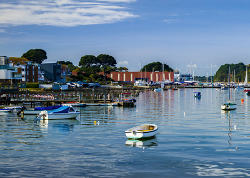 Pest Control Poole